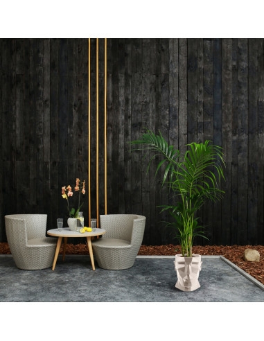 Donica Apollo Light Beige Poli 24 cm