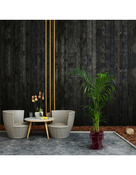 Donica Apollo Maroon Poli 24 cm