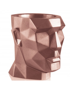 Donica Apollo Rose Gold...