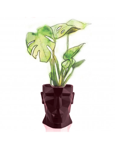 Donica Apollo Maroon Poli 14 cm