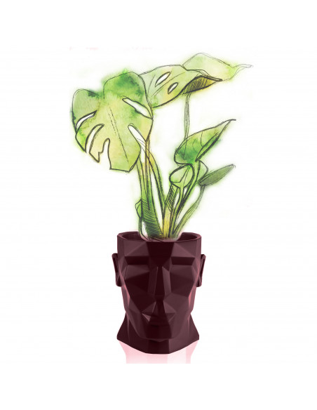 Donica Apollo Maroon Poli 12 cm