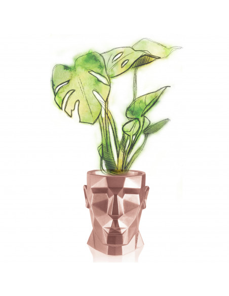 Donica Apollo Rose Gold Poli 12 cm