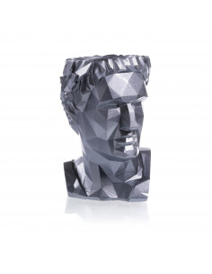 Donica Cezar Low-Poly Steel...