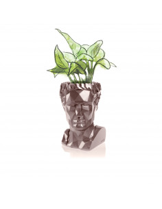 Donica Cezar Low-Poly Rose...