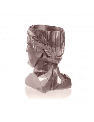 Donica Cezar Low-Poly Rose Gold Poli...