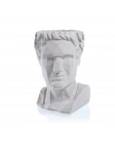 Donica Cezar Low-Poly... 2