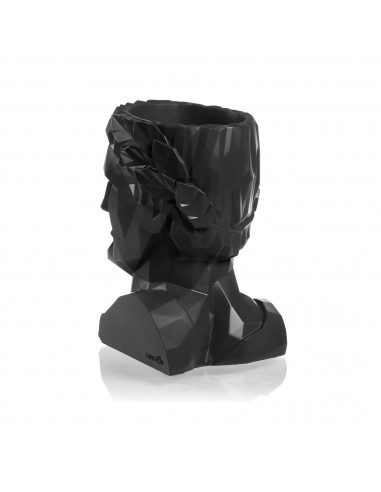 Donica Cezar Low-Poly Black Matt Poli...