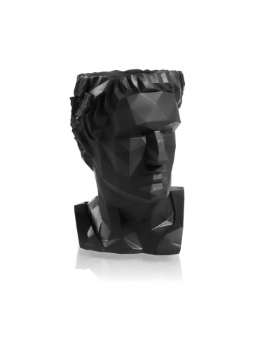 Donica Cezar Low-Poly Black Matt Poli...