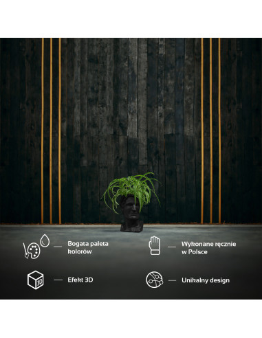 Donica Cezar Low-Poly Black Matt Poli...