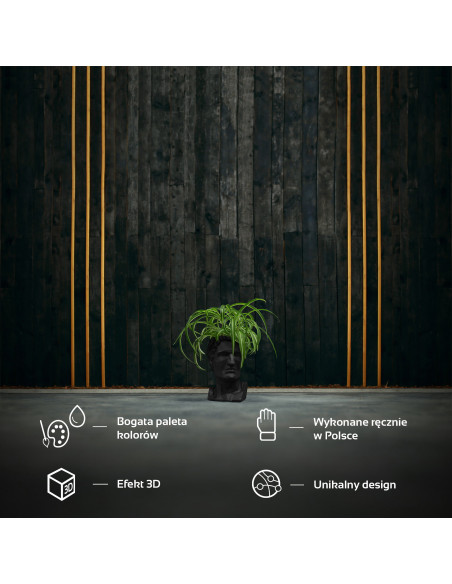 Donica Cezar Low-Poly Black Matt Poli 10 cm