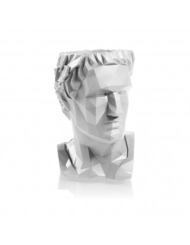Donica Cezar Low-Poly White Poli Matt...