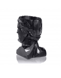 Donica Cezar Low-Poly Black... 2