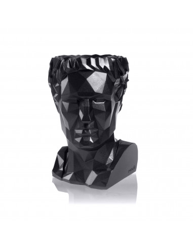 Donica Cezar Low-Poly Black Metallic...