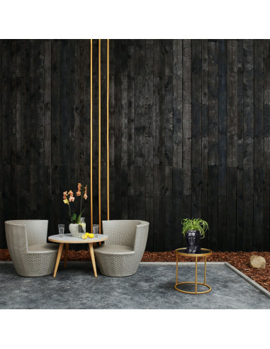 Donica Cezar Low-Poly Black Metallic...