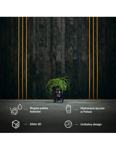 Donica Cezar Low-Poly Black Metallic...