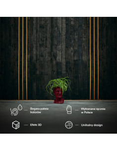 Donica Cezar Low-Poly...