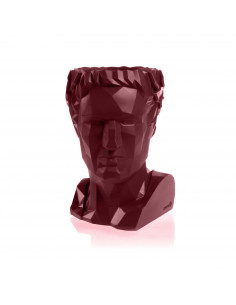 Donica Cezar Low-Poly... 2