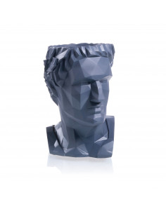 Donica Cezar Low-Poly...