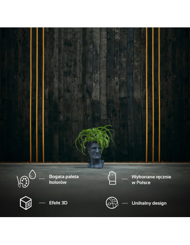 Donica Cezar Low-Poly Midnight Gray...