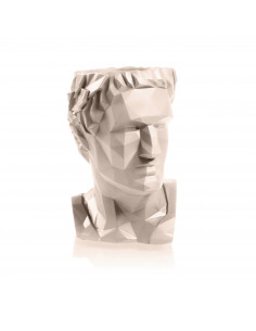 Donica Cezar Low-Poly Light... 2