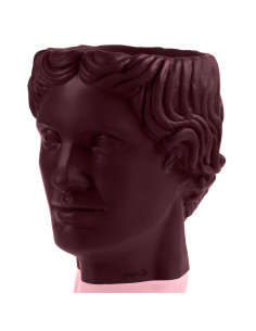 Donica Hermes Maroon Poli... 2