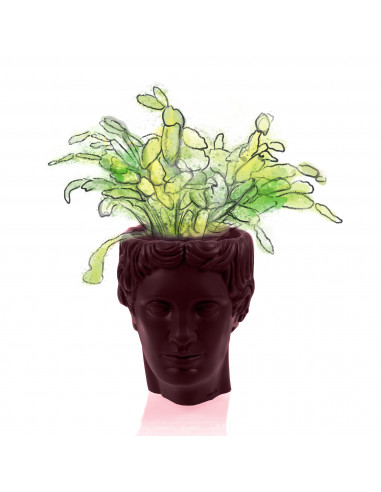 Donica Hermes Maroon Poli 12 cm