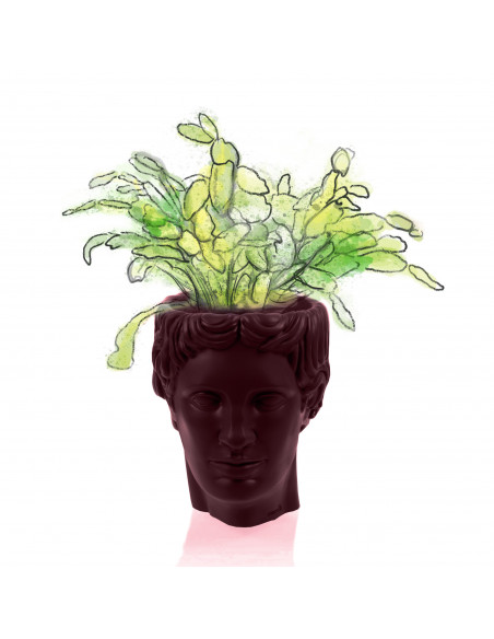 Donica Hermes Maroon Poli 12 cm