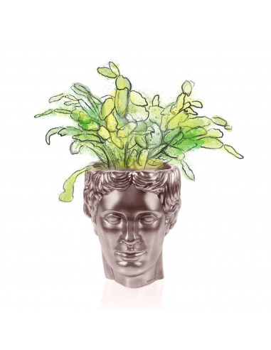 Donica Hermes Rose Gold Poli 12 cm