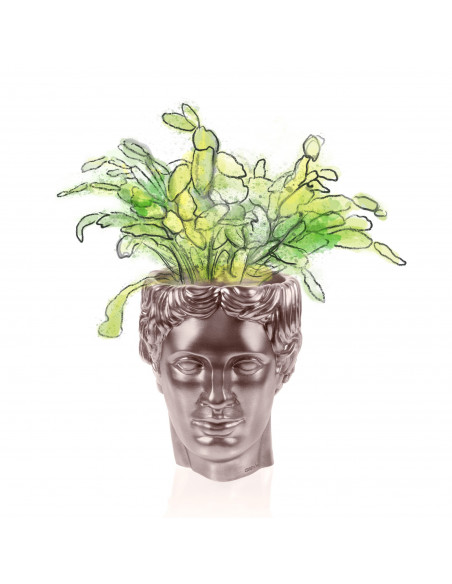 Donica Hermes Rose Gold Poli 12 cm