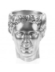 Donica Hermes Silver Poli...