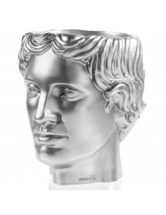 Donica Hermes Silver Poli... 2