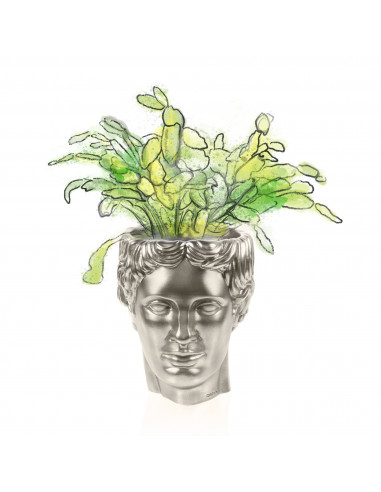 Donica Hermes Brass Poli 12 cm