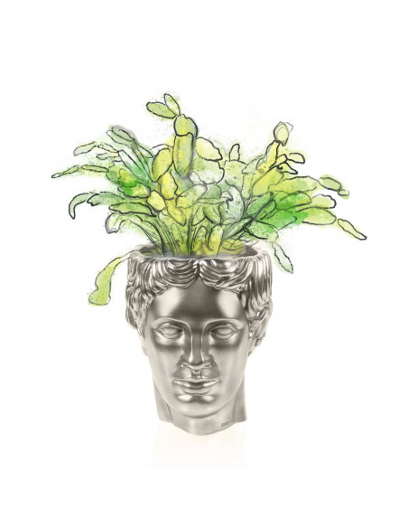 Donica Hermes Brass Poli 12 cm