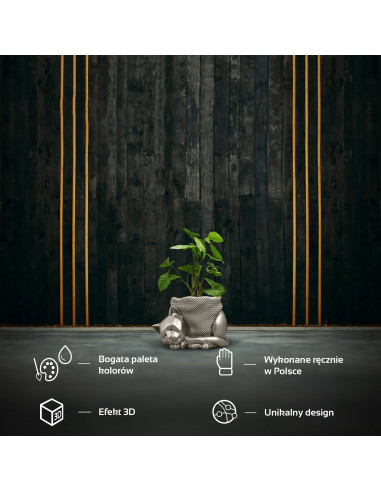 Donica Sleepy Cat Brass Poli 12 cm