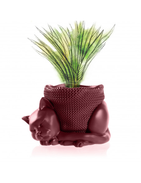 Donica Sleepy Cat Maroon Poli 12 cm