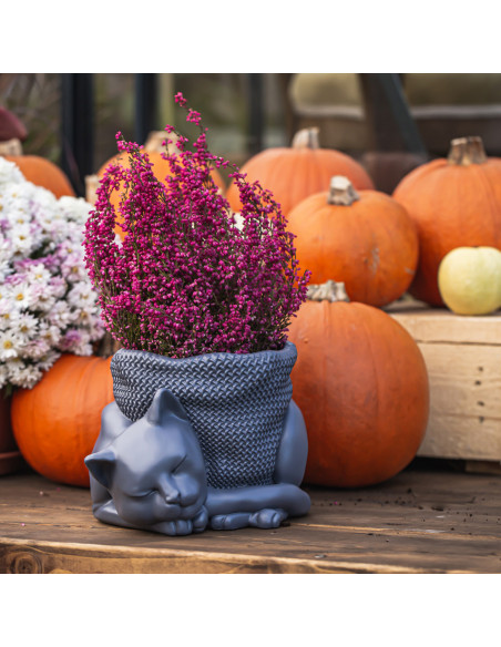 Donica Sleepy Cat Midnight Gray 12 cm