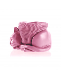 Donica Sleepy Cat Candy...