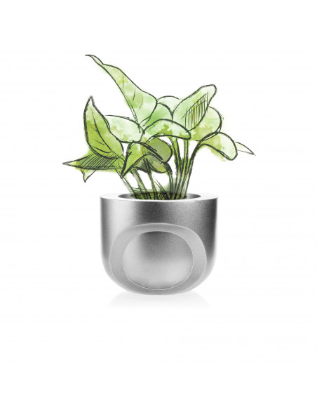 Donica Cut My Side Silver Poli 13 cm