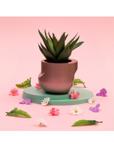 Donica Cut My Side Rose...