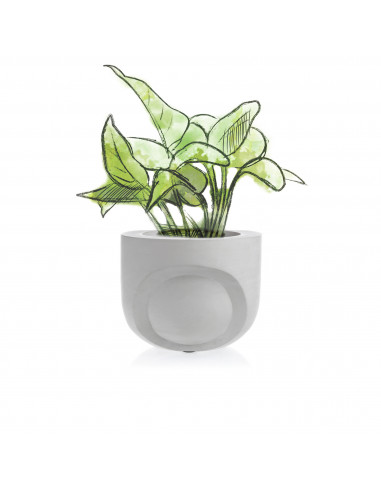 Donica Cut My Side Unpainted 13 cm