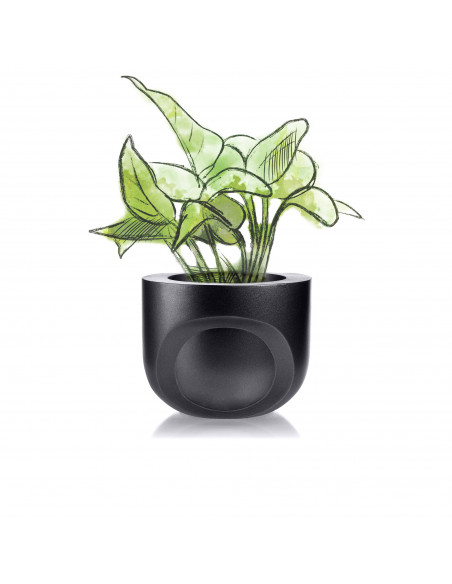 Donica Cut My Side Black Metallic 13 cm