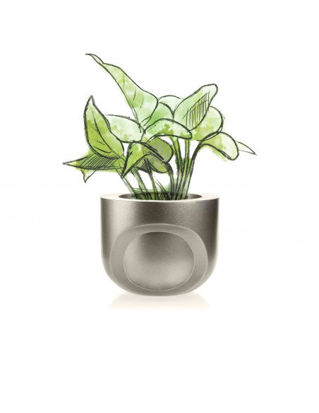 Donica Cut My Side Brass Poli 13 cm