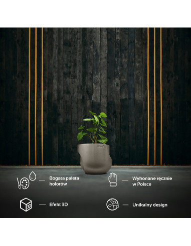 Donica Cut My Side Brass Poli 13 cm