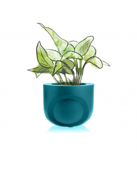 Donica Cut My Side Dark Turquoise Poli 13 cm