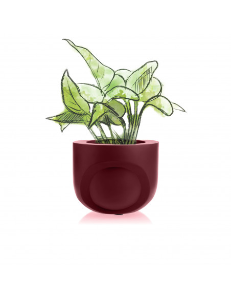 Donica Cut My Side Maroon Poli 13 cm