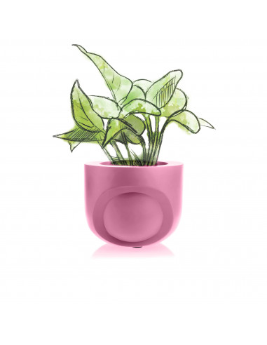 Donica Cut My Side Candy Pink Poli 13 cm