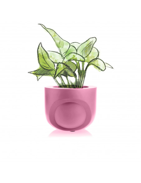 Donica Cut My Side Candy Pink Poli 13 cm