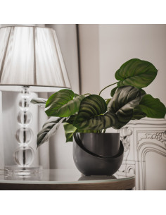 Donica Cut My Top Steel...