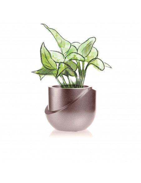 Donica Cut My Top Rose Gold Poli 13 cm