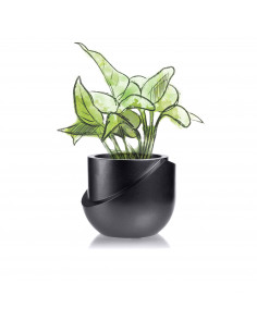 Donica Cut My Top Black...